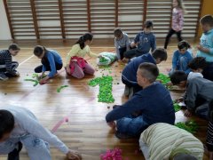 IMG_20190506_120012.jpg